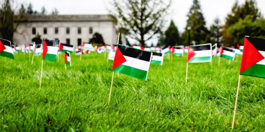 ناشطون أمريكيون يزرعون 13 ألف علم فلسطيني في حديقة الكابيتول !