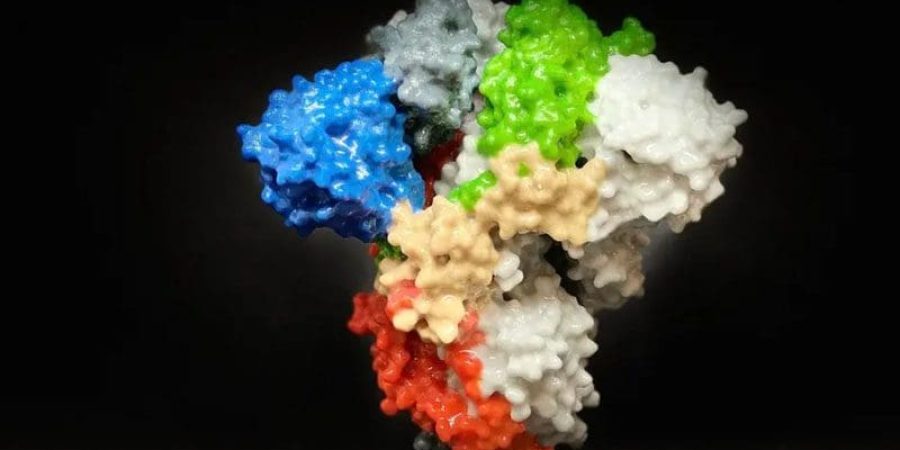 نموذج من البروتين المكون للفيروس "تعبيرية"