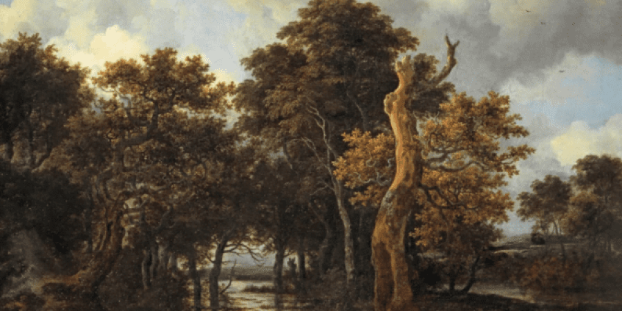 لوحة زيت على قماش لمستنقعات خشبية طبيعية مع شجرة ميتة للفنان الهولندي ياكوب فان روسيدل