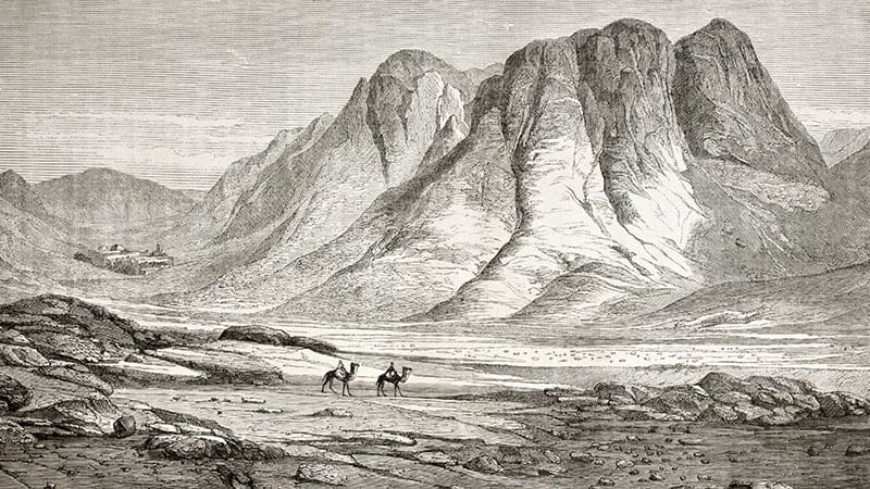 الجزيرة العربية