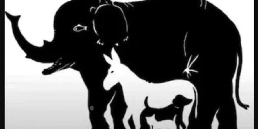 حدد عدد الكائنات التي تراها في الصورة