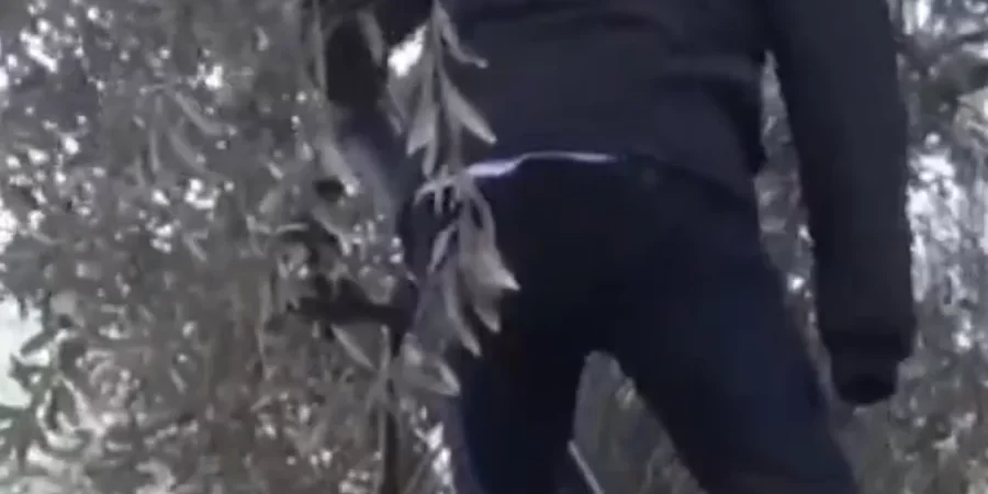 مشهد المقاتل القسامي