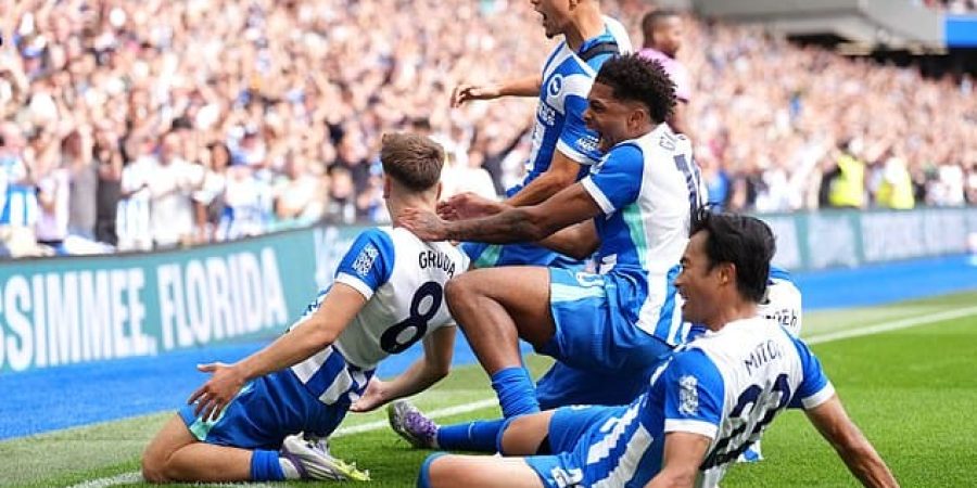 فرحة لاعبي برايتون بهدف الفوز