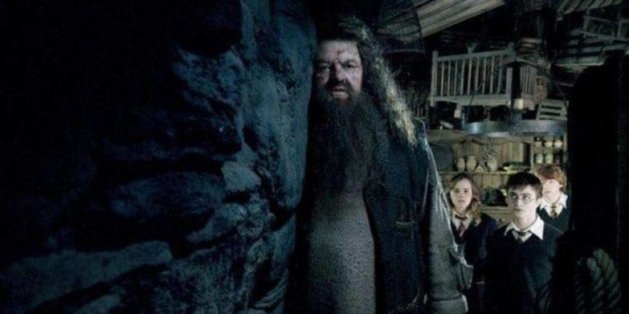 الممثل روبي كولترين بشخصية هاجريد