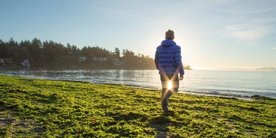 الأعشاب والطحالب البحرية تتمتع بمزايا ستجعل ملابس المستقبل صديقة للبيئة