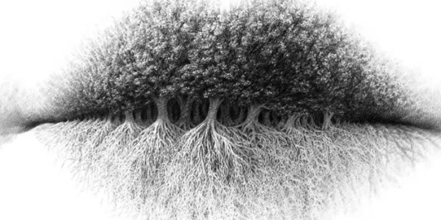 اكشف عما بداخلك