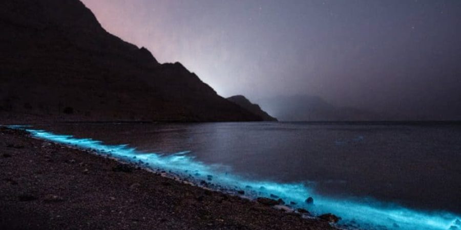 ظاهرة البحر المضيء بسلطنة عُمان أرشيفية