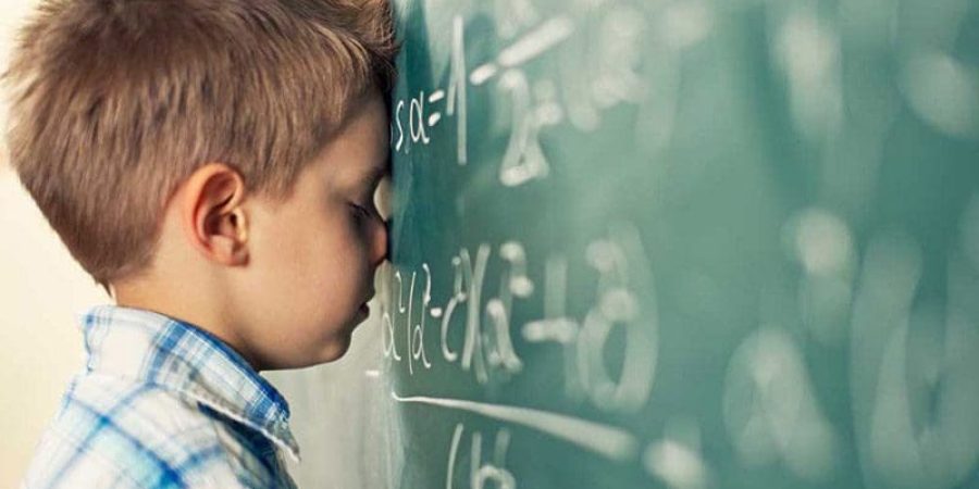 على الرغم من أن الشيفرة الجينية تساعد على فهم الرياضيات ومعالجة العمليات الحسابية، فإنها بالتأكيد ليست أكبر مساهم في النجاح