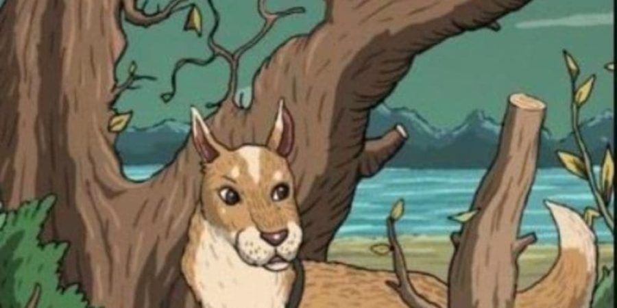 هل تستطيع تبيّن القطة؟