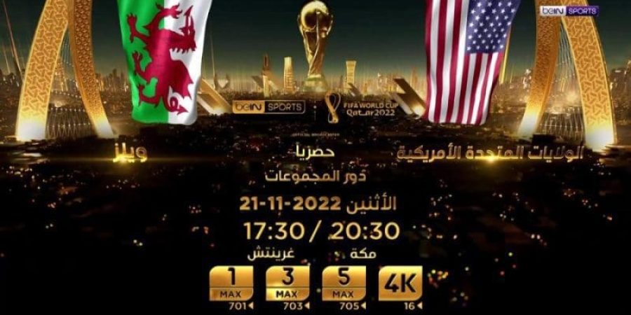 أمريكا تواجه ويلز