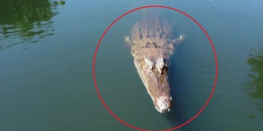 التسماح لحظة مراقبته للطائرة بدون طيار قبل الهجوم عليها.