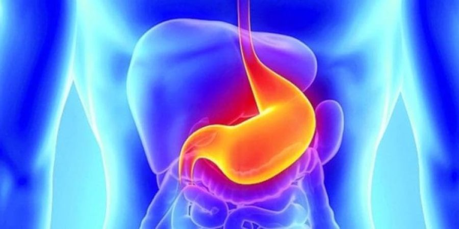 جرثومة المعدة جرثومة المعدة