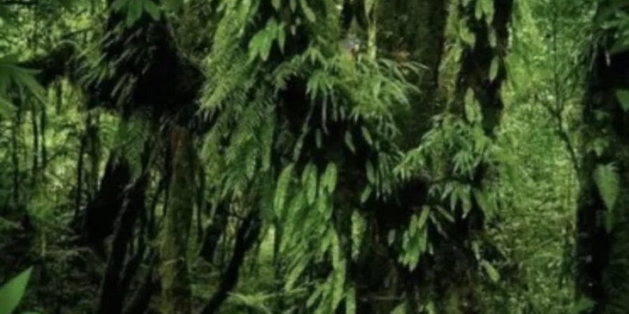 399DDDEF-BB81-46D7-944B-6BAD550C51D2