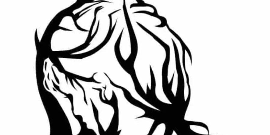 ركز عزيزي القارئ في الصورة.. ماذا رأيت أولًا؟