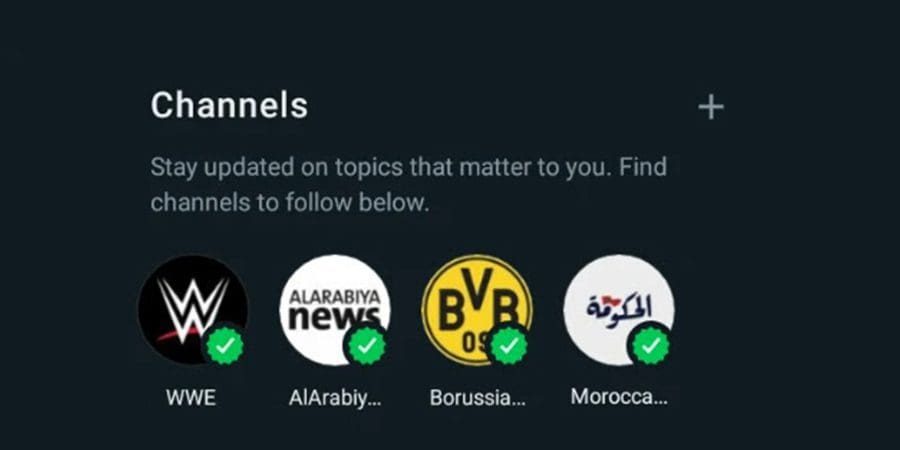 قناة واتساب