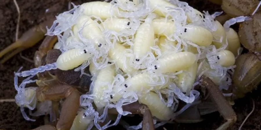 تعبيرية ـ فرانس برس