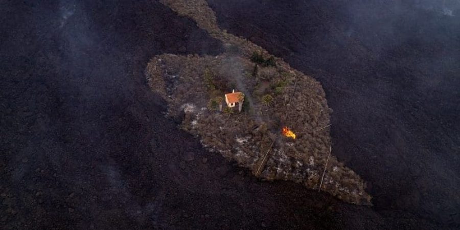 48545379-10040269-image-a-79_1632920213390