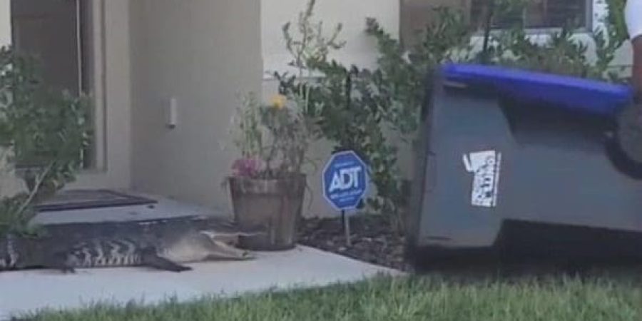 48554927-10042027-image-m-17_1632937549046