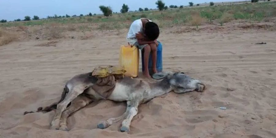 الصورة المغلوطة انتشرت بكثرة على وسائل التواصل الاجتماعي