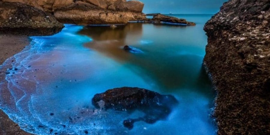 شاطئ بصة صورة من شاطئ بصة بعدسة عوف الشحي