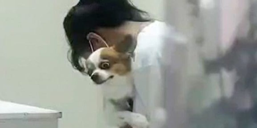 50253411-10181573-image-m-25_1636460378643