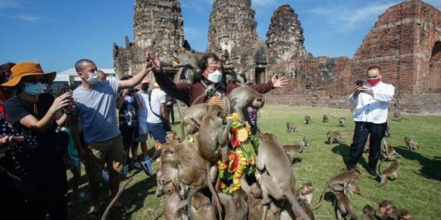 51305059-10272459-In_this_picture_macaques_feast_on_a_heap_of_fresh_fruit_and_vege-a-19_1638961659096