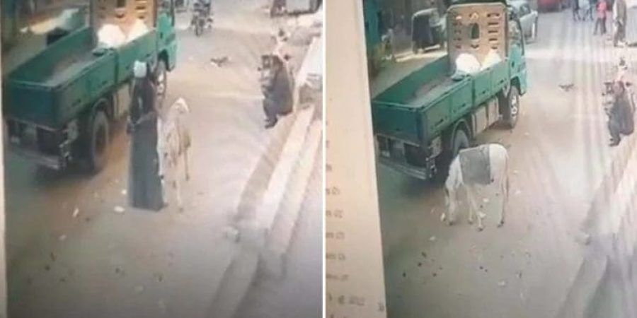 مقطع من الفيديو المتداول.