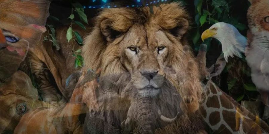 الصورة تشتمل على 10 كائنات