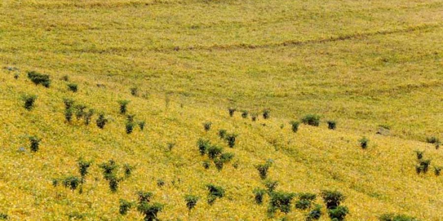 المُزارعون لن يتمكنوا من مواجهة التحديات التي تنتظرهم في ظل غياب النمذجة العلمية (غيتي)