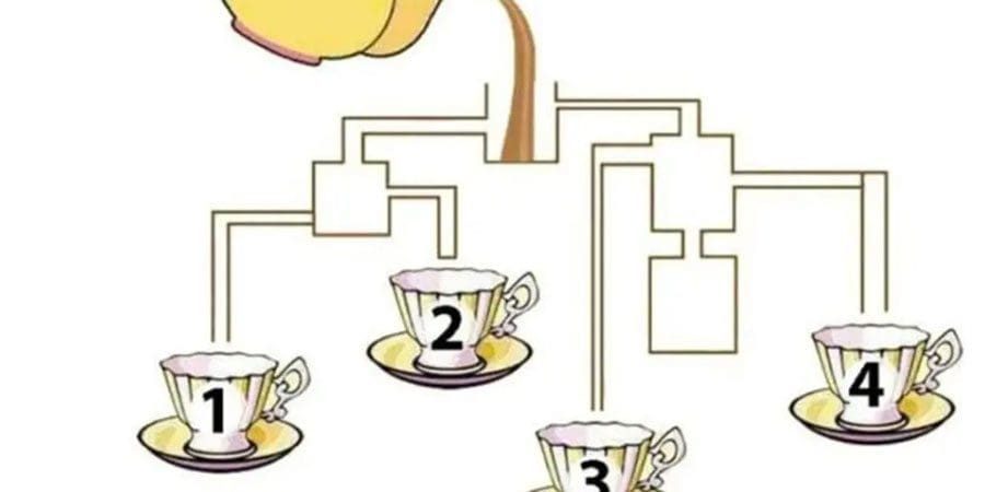 أي كأس سيتم ملؤه أولًا؟