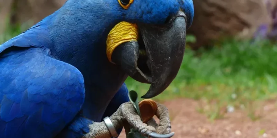 بغباء | أرشيف