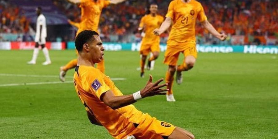 فرحة لاعبي هولندا بالهدف الأول