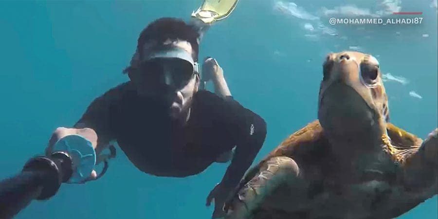 أميرة جزر الديمانيات