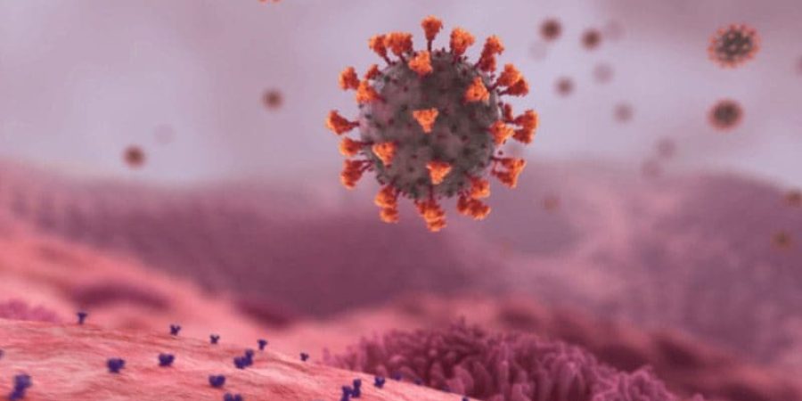 صورة توضيحية (موقع XVIVO SCIENTIFIC ANIMATION)