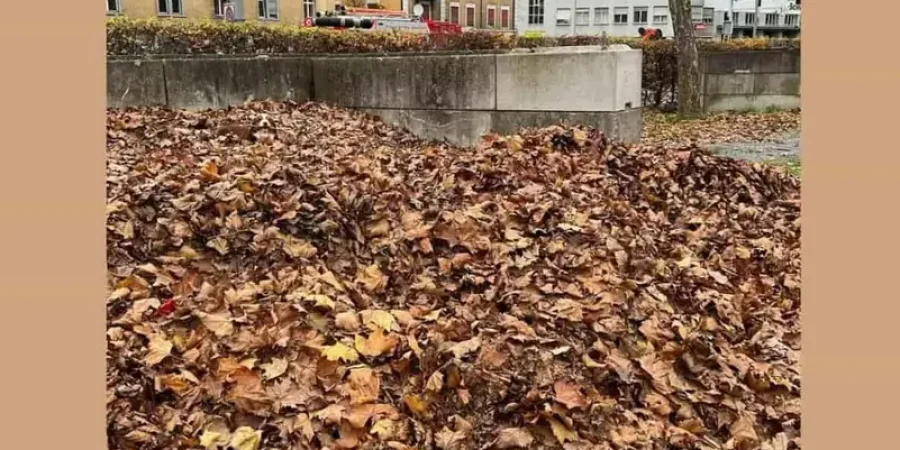 حاول أن تجد الجرو في المدة المحددة