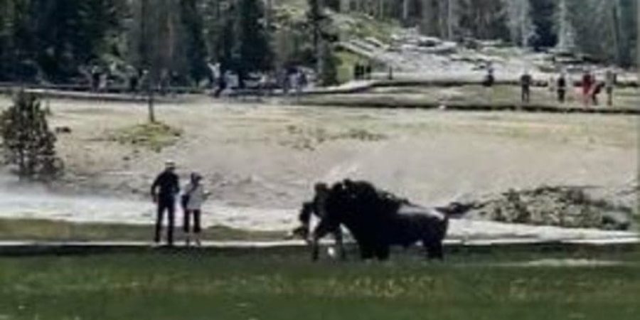 جانب من الفيديو