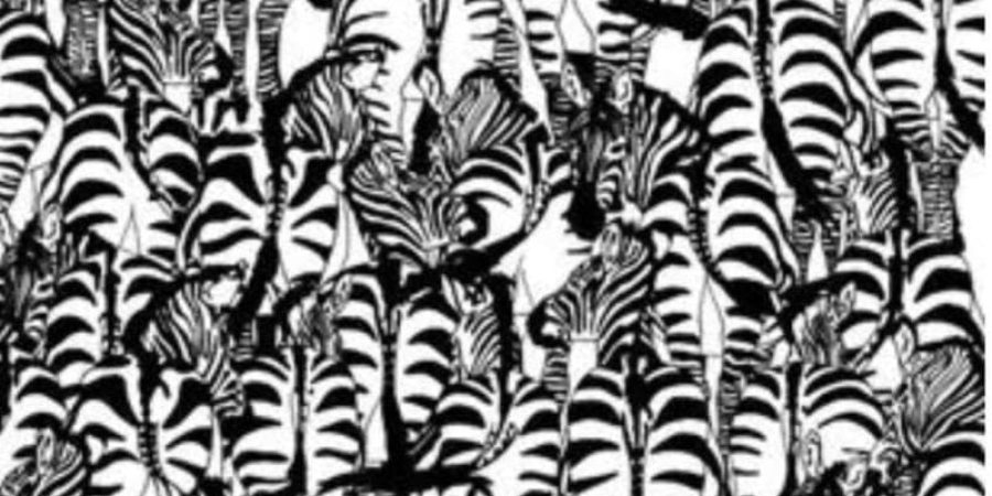 الصورة التي حيرت الجميع