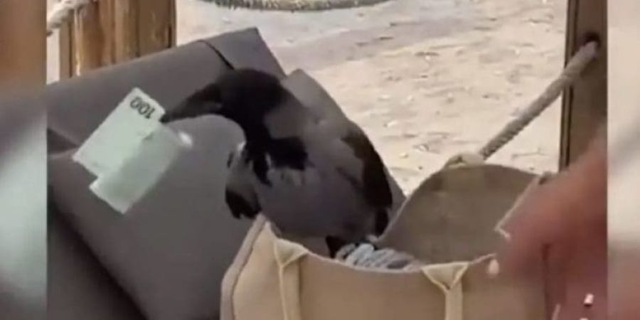 B2C4D483-67EB-43E5-9962-C5871ACBC092