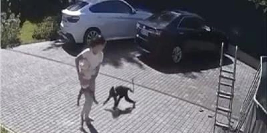 CD8D417B-A8FE-4C58-982F-DBA94E0886C1