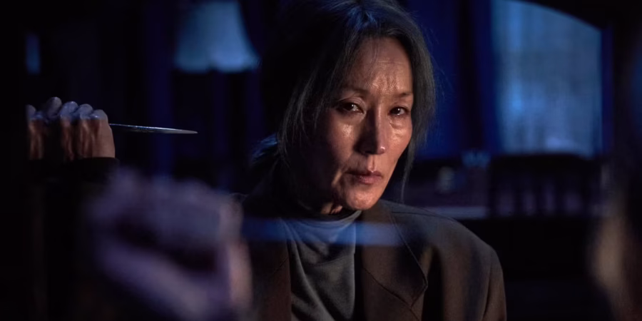 THE OLD WOMAN WITH THE KNIFE