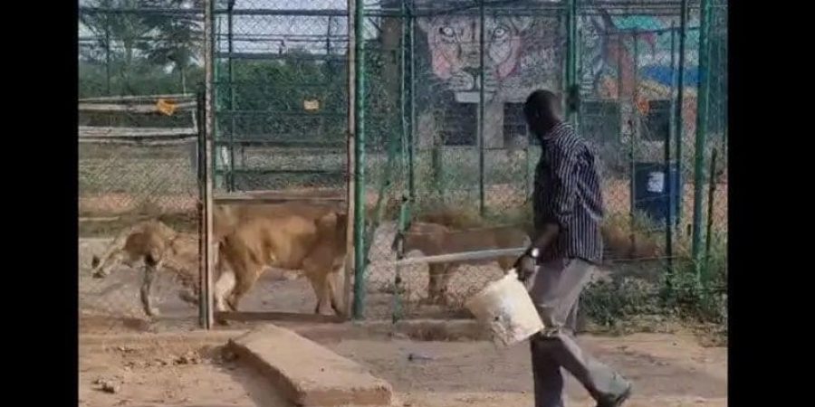 مقطع من الفيديو