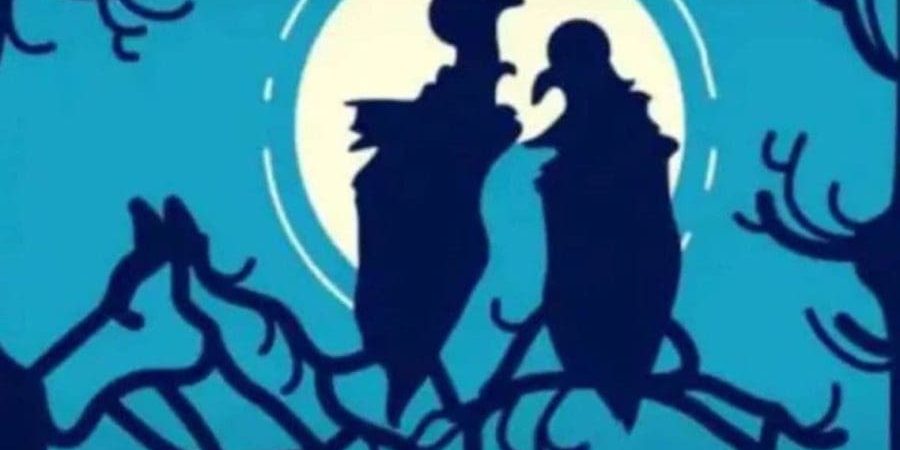 ماذا ترى لأول وهلة في الصورة؟