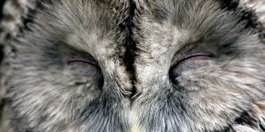 مقطع من الفيديو