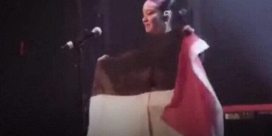 فنانة نرويجية ترفع علم فلسطين أثناء حفل لها