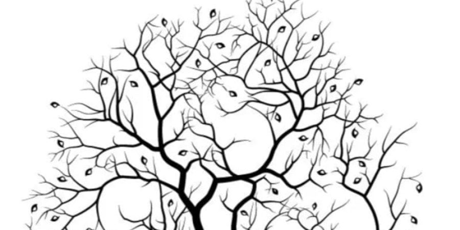 هل حددت عدد الأرانب المخفية بغصون الشجرة؟