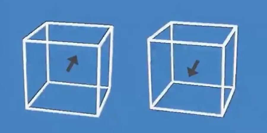 انظر إلى الصورة جيداً