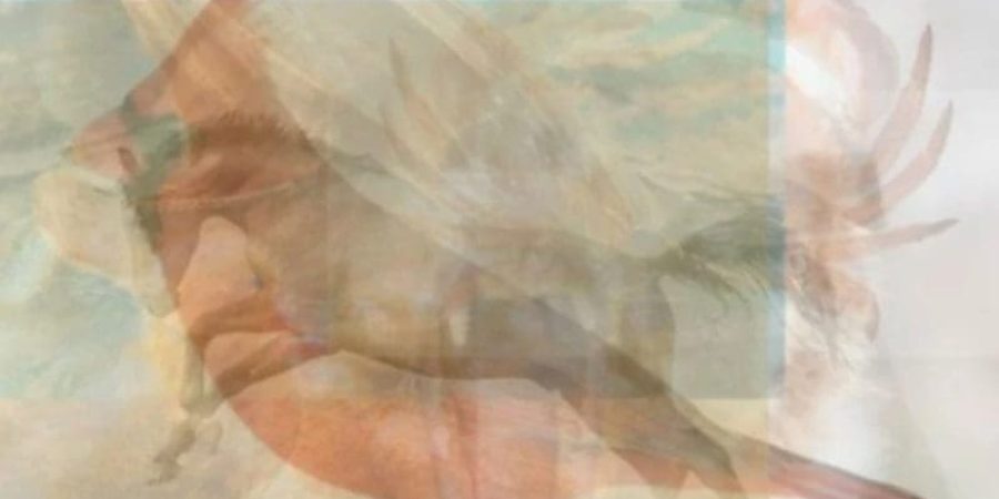 ماذا لفت انتباهك لأول وهلة في الصورة؟