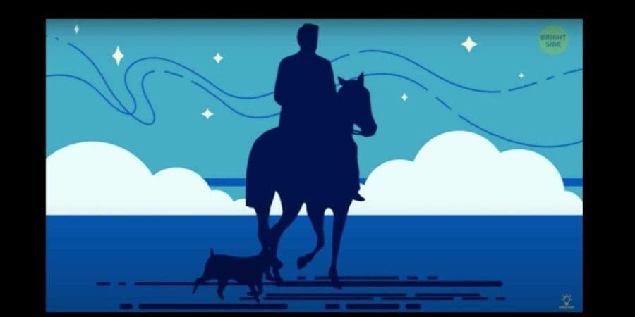 في أي اتجاه يسير الحصان؟