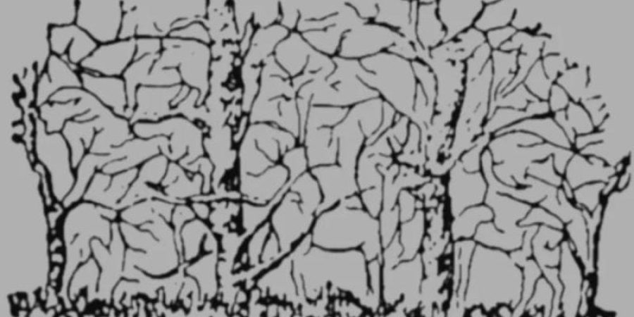 كم من الحيوانات ترى في هذه الصورة؟