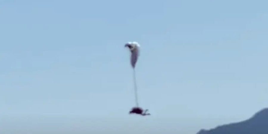 مظلي نجا من الموت